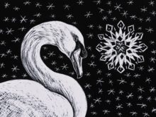 Winter Swan, 2019, 3.5" x 5"