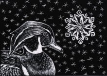 Winter Duck, 2019, 3.5" x 5"