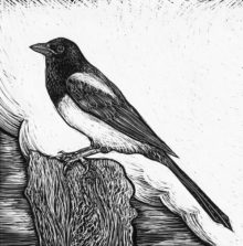 Magpie, 2014, 4" x 4"